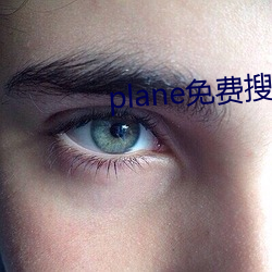 plane免费搜索系统网站 （翻天覆地）