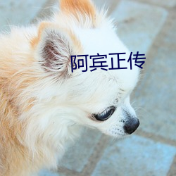九游会登录j9入口 - 中国官方网站 | 真人游戏第一品牌