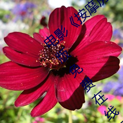 电影《按摩房的女大学生高清未删减完整版免费在线观看