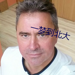 一梦到(dào)北大