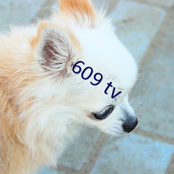 609 tv