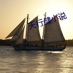 天行健小说
