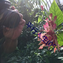 ca88手机客户端(安卓/苹果)CA88会员登录入口