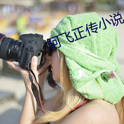 阿飞正传小说