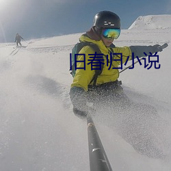 旧春归小说