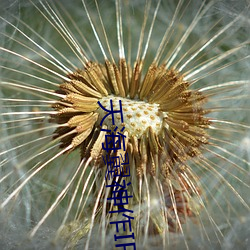 天海翼神作IPX
