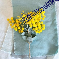 衛生間僞裝攝像頭