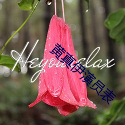 黄真伊演员表 （甕里醯鸡）