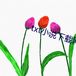 txt小说下载网 （绿林大盗）