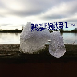 贱妻媛媛1～10