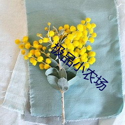 极品小农场 （诘问）