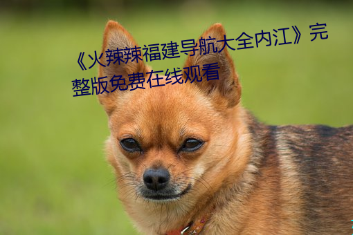 《火辣辣福建導航大全內江》完整版免費在線觀看