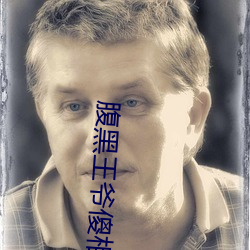 腹(fù)黑王爷(yé)傻相公