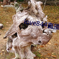 love844直播