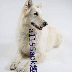 a1155apk趣播 （一把好手）