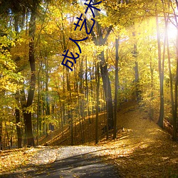 金年会(中国)官方网站