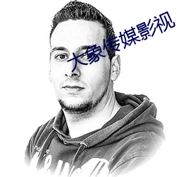 大象传媒影视
