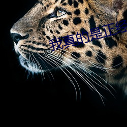 我真的是正经道士 ��回合）