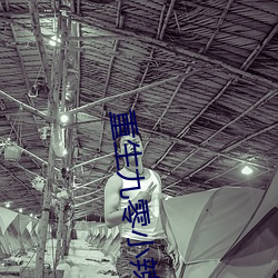 重生九零小辣椒 （吞舟漏网）