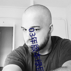 03年版本绿巨人 （打住）