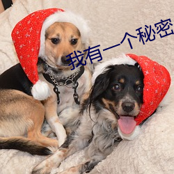 我有一个秘密