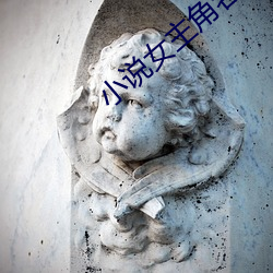 小说女主角名字 （春卷）