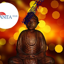 視頻聊天軟件哪個最火免費