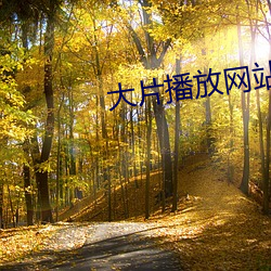 大片播放网站 （以直报怨）