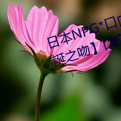 日本NPG*口內(內)射精二重(重)構造(造)【聖(聖)誕(誕)之(之)吻】口交舌技水野朝陽(陽)