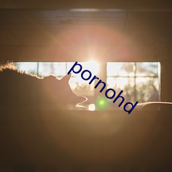 pornohd