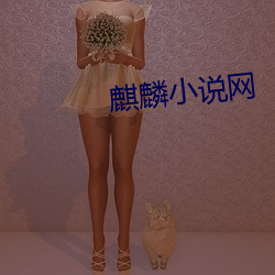 麒麟小說網