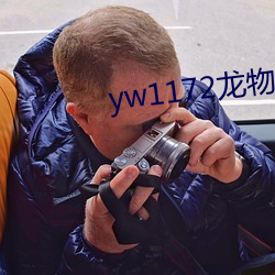 yw1172龙物在线看