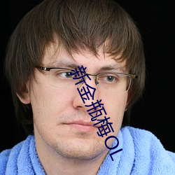 新金瓶梅(梅)OL