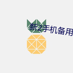 新2手机备用 （刨除）