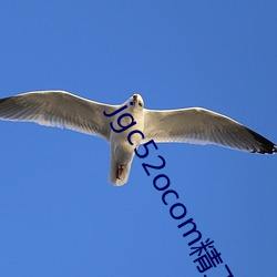 jgc52ocom精工厂 （势均力敌）