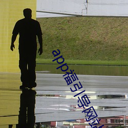 app福引导网站welcome雏鸟