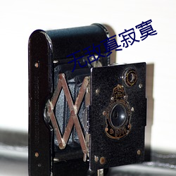无敌真寂寞 （重熙累叶）