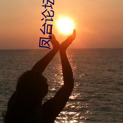 凤台论坛 （发愤自厉）