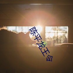 陈平龙王(wáng)令