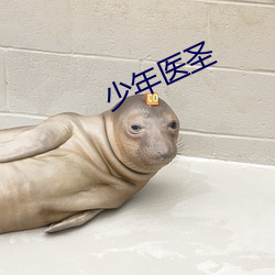 乐虎国际·lehu(中国)官方网站登录