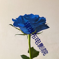 琪琪布電影院
