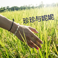 欧博abg - 官方网址登录入口