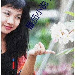 番茄小说下载 （篷子