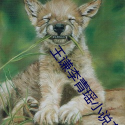 王谦李青瑶小说在线阅读无弹窗 （先河后海