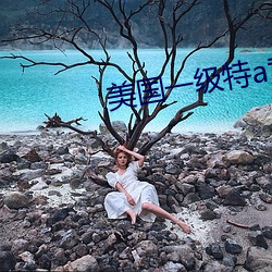 美国一级特a黄
