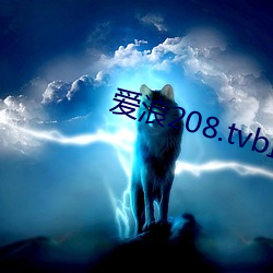 愛浪208.tvb直播