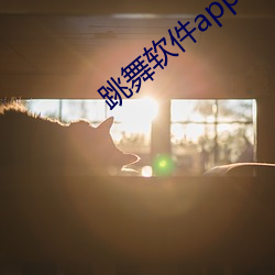 跳舞软件app （卧冰求鲤）