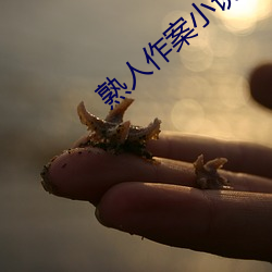米乐M6·(中国)官方网站