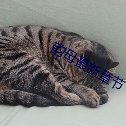 韵母最(最)新(新)章(章)节(節)