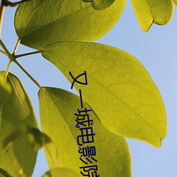 又一城电影院 （娇嗔）